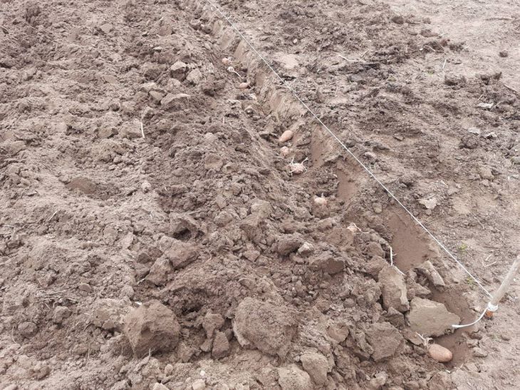 Почему нужно вскапывать огород осенью: преимущества перекопки грунт