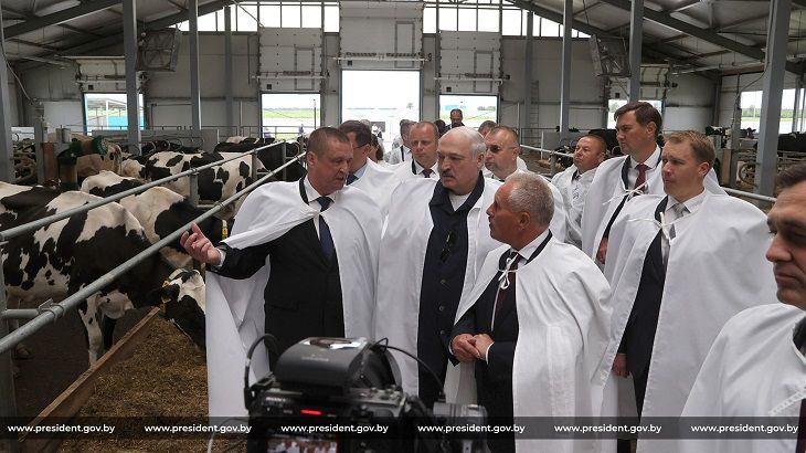 Лукашенко потребовал уйти от «диких ферм» Лукашенко