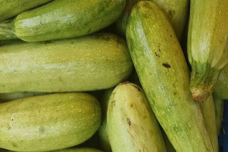 Как пожарить оладьи из кабачков: пышные, вкусные и не прилипают к сковороде Кабачки