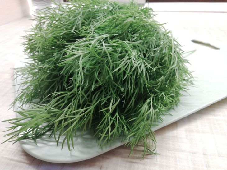 Можно ли вырастить урожай душистого укропа в августе: мнение опытных дачников укроп