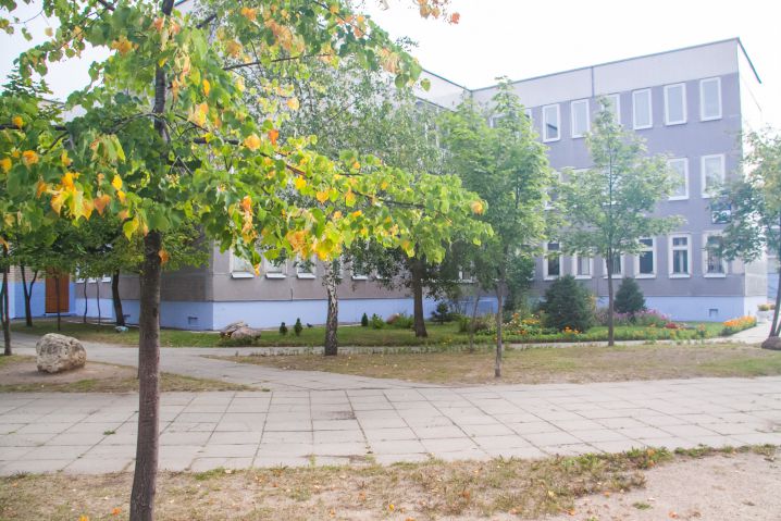 «Беллегпром» представил форму школьных поваров: разрабатывали с Центром моды Школа Дерево