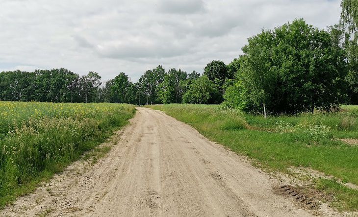 Белорусов предупредили: в стране 26 августа действует оранжевый уровень опасности дорога