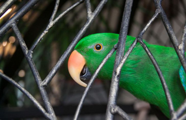 2. Используйте положительное подкрепление