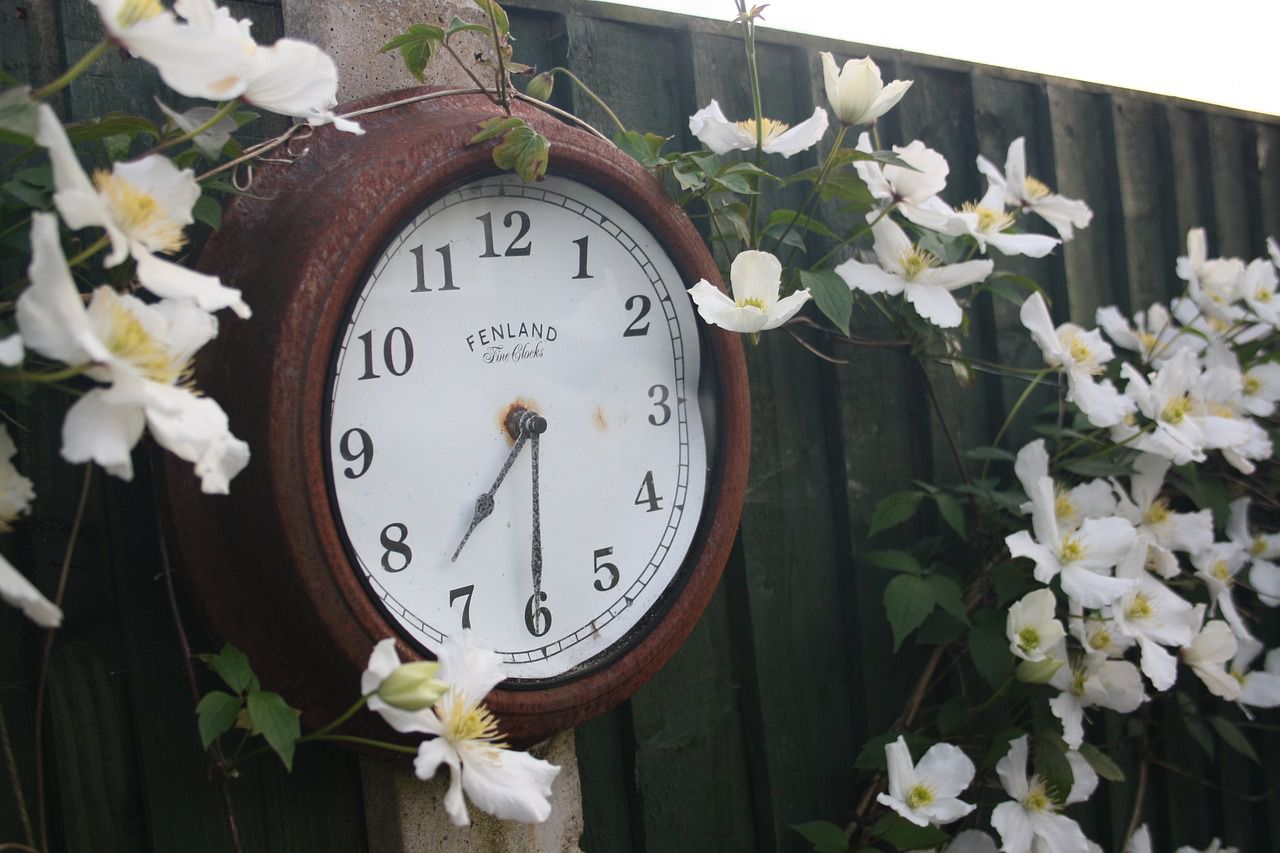 garden clock