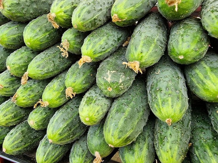 Малосольные огурцы всего за час: хрустящая и ароматная закуска Огурцы