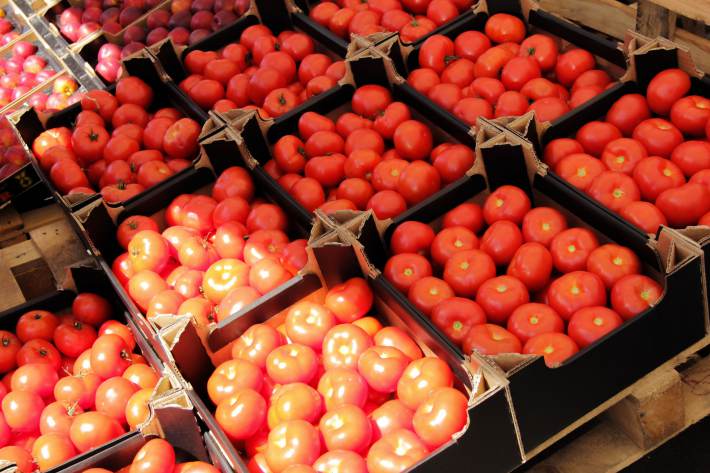 Помидоры