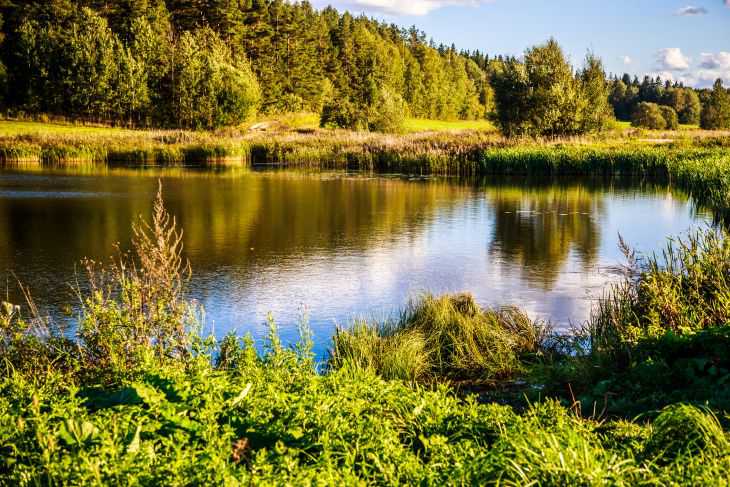 Народные приметы на 29 августа: что предвещает короткую зиму водоем