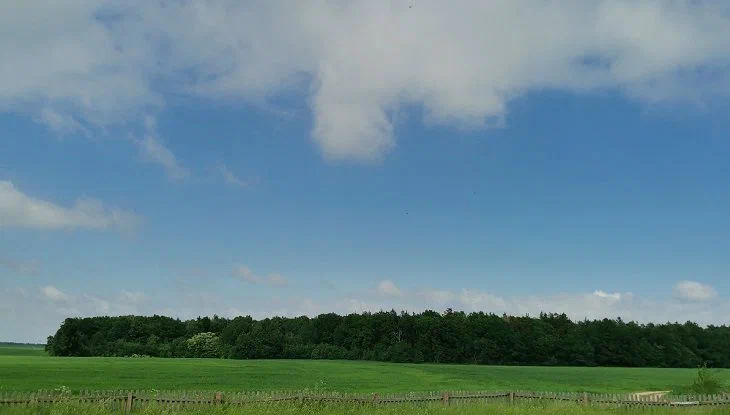 Какой сегодня праздник: 26 августа 2023 года Природа