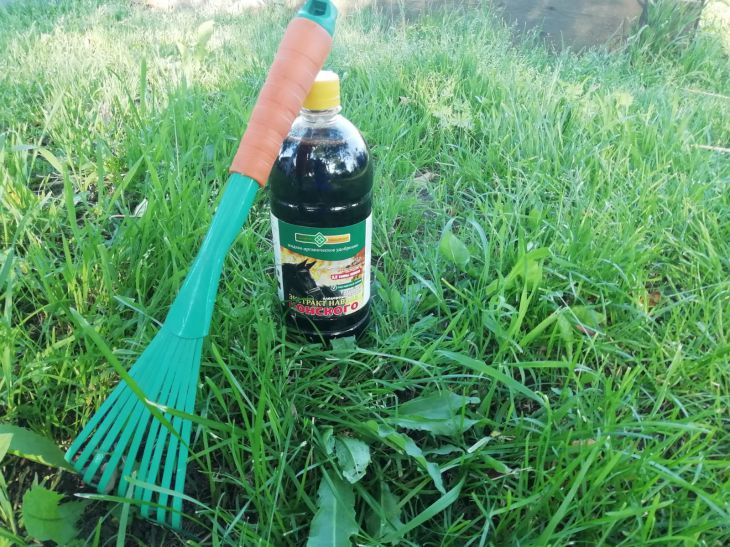 Какие вещества стимулируют рост растений: 5 вариантов дачнику на заметку удобрения