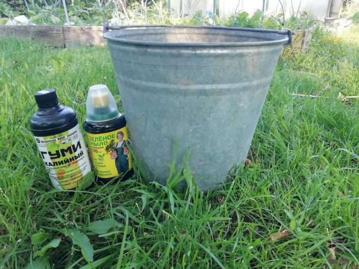 Опытный дачник найдёт применение старому ведру: креативные и полезные решения для вашего участка ведро