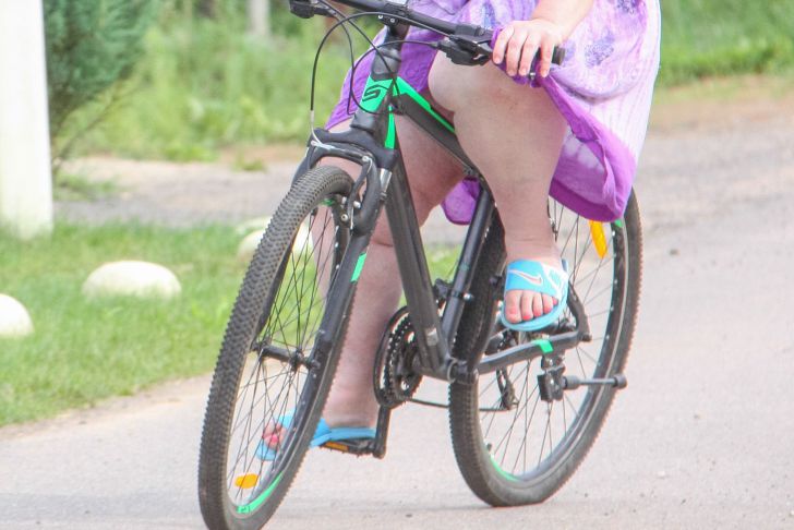 Почему собаки лают на велосипедистов: они считают их опасными велосипед