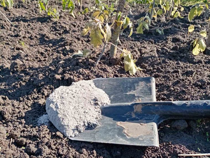 Какие ошибки, связанные с использованием золы, допускаются неопытными дачниками зола