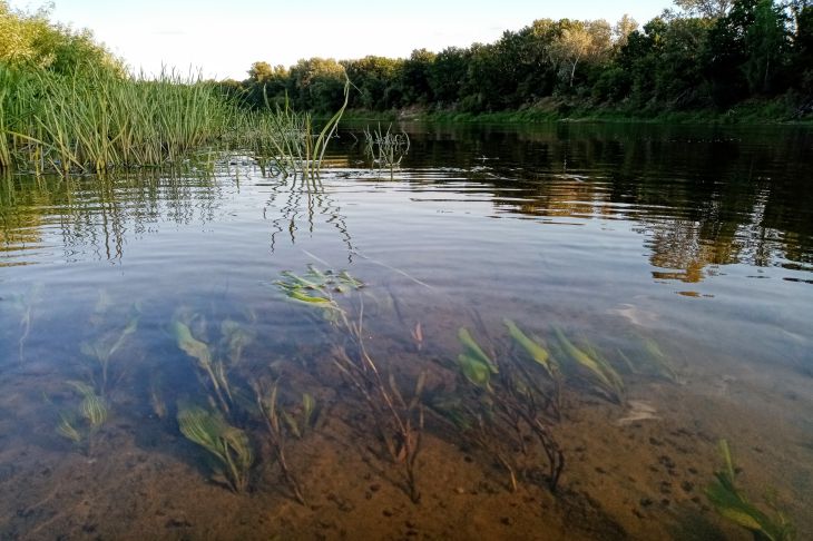 Река Вода