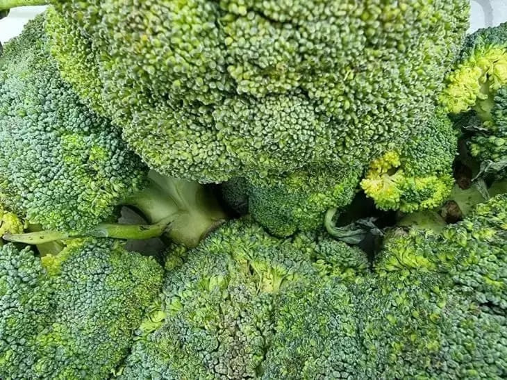 Как вкусно приготовить брокколи: понравится даже детям Брокколи