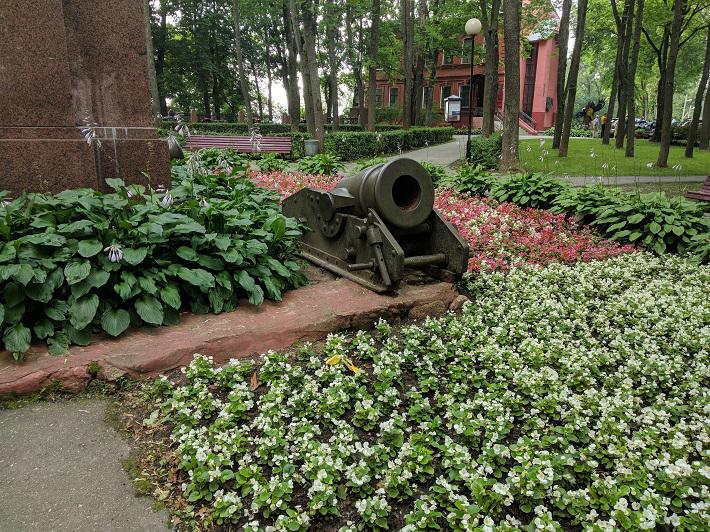 Клумба Хосты