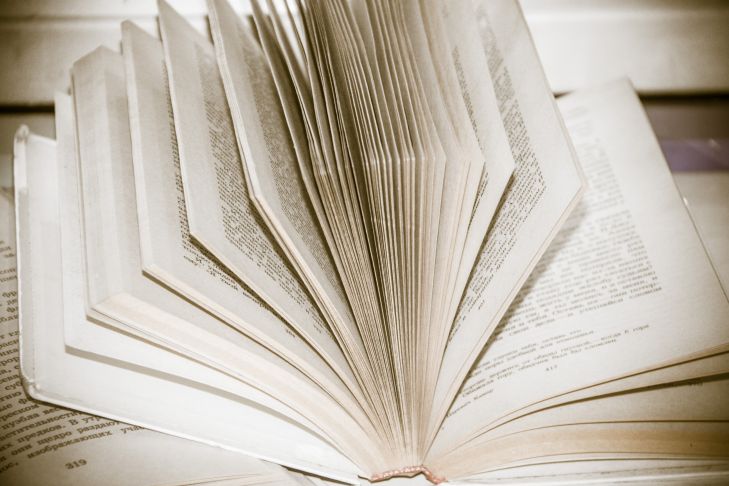 Как добиться того, чтобы ребенок полюбил чтение: 3 хитрости книга