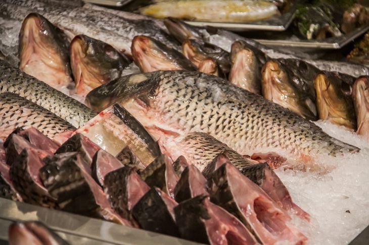 Секретный ингредиент – кусочек сыра: как из дешевой рыбы приготовить вкусные рыбные котлеты рыба