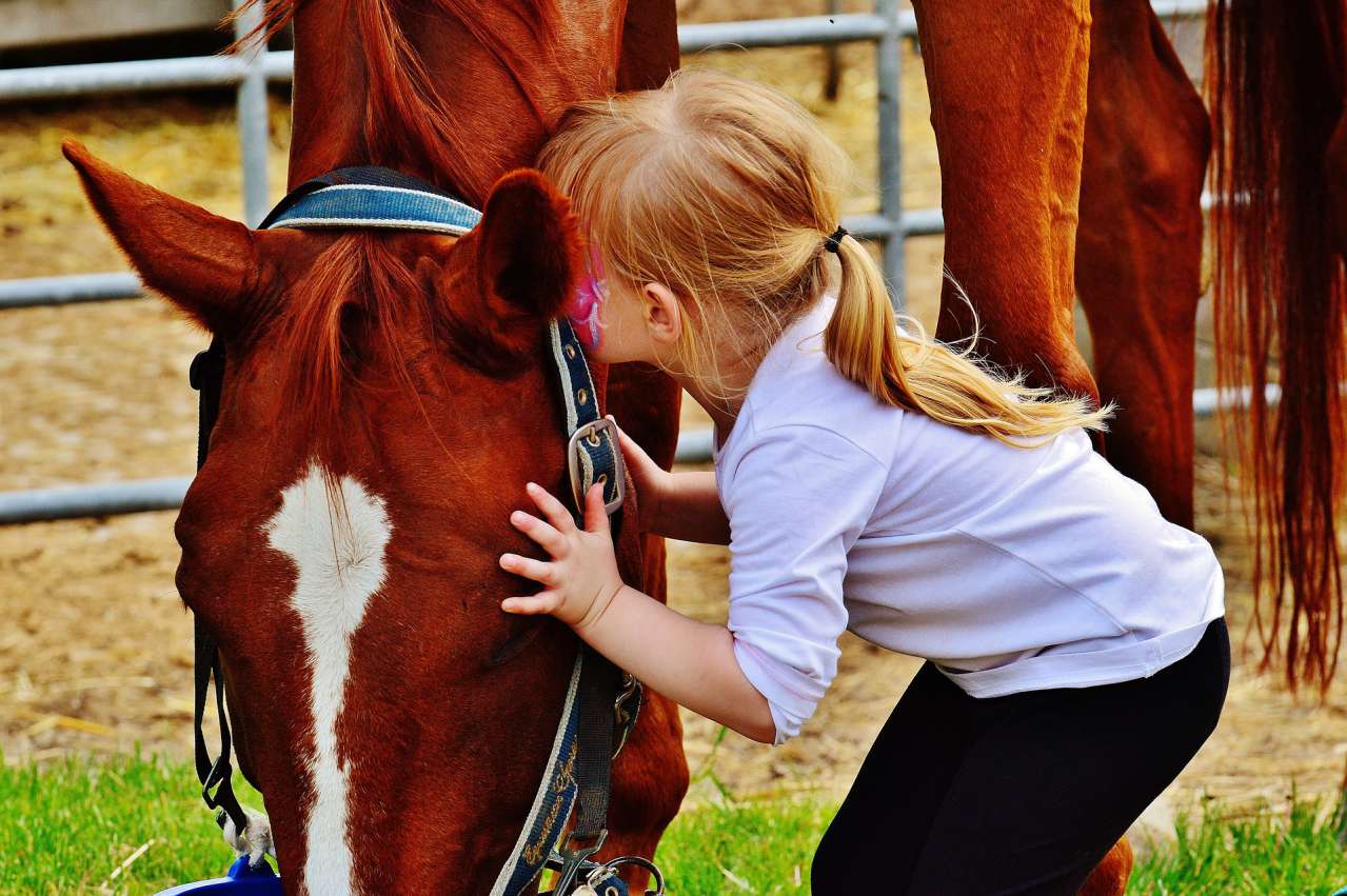 Interesting Facts: How Pets Help with Studying child