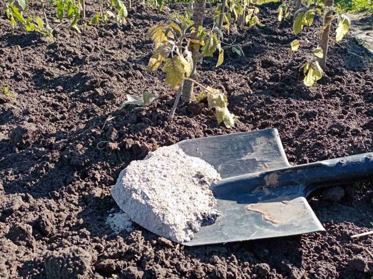 Лунный календарь огородника с 4 по 10 сентября: что и когда нужно сделать лопата