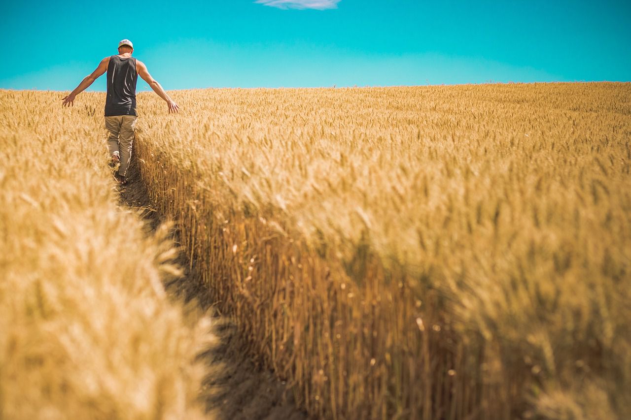 How gardeners of the past fertilized their soil: A bit of history farmer