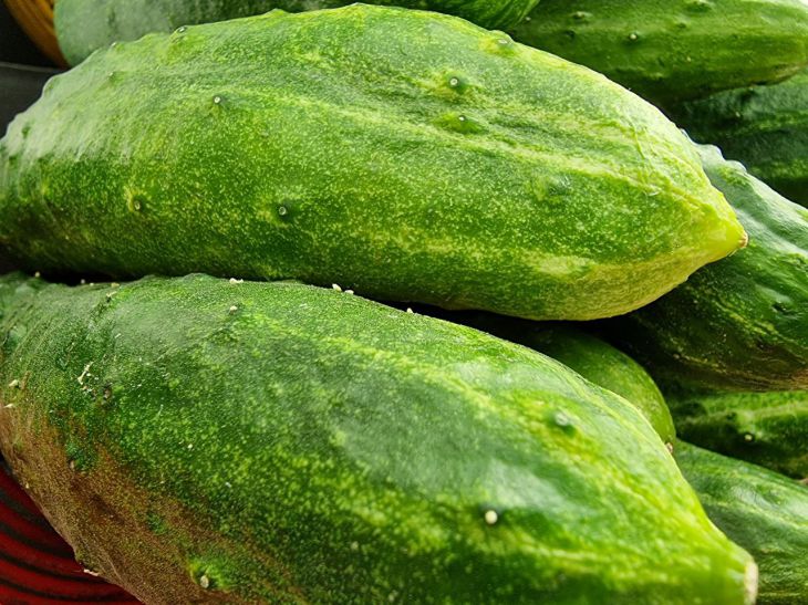 Что делать с переросшими огурцами: огородники предлагают 2 вкусных блюда огурцы