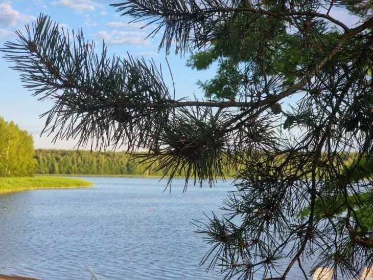 Михайлово чудо: что нельзя делать 19 сентября Природа