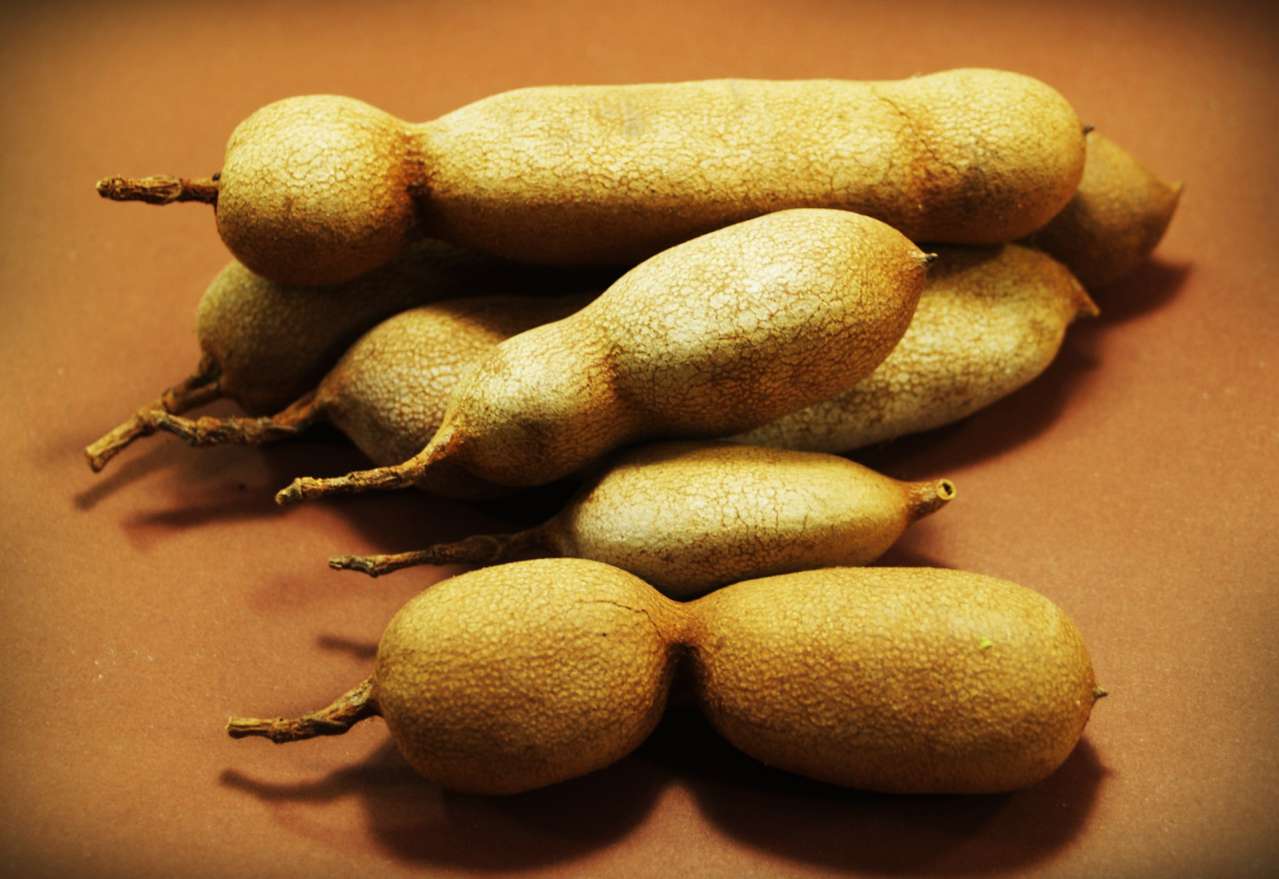Tamarind: Growing and Care plant