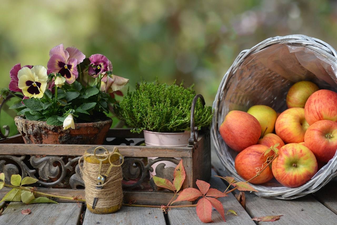 fall apples