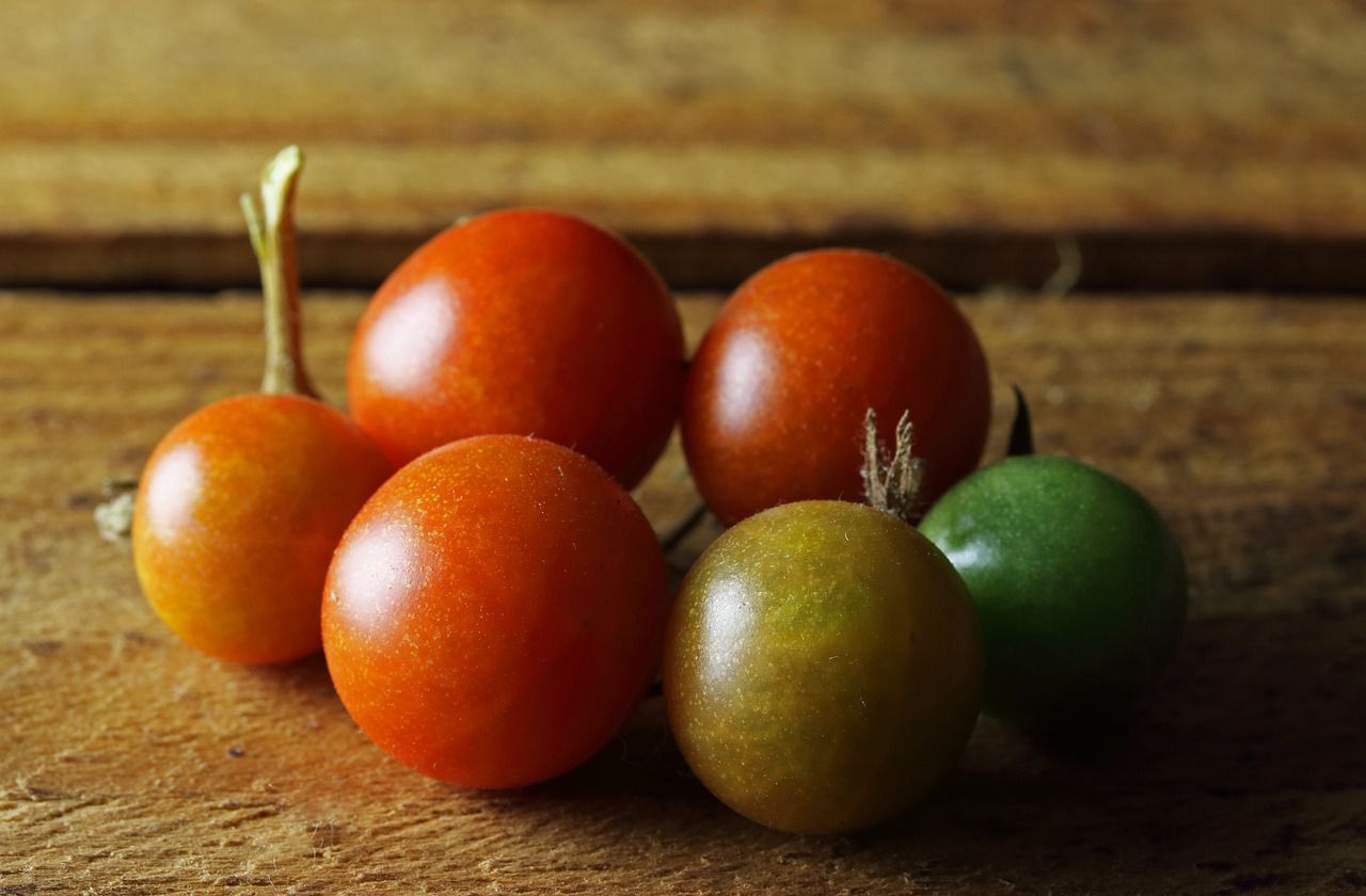 cocktail tomatoes