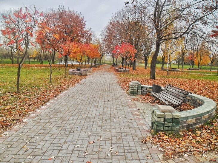 Какой сегодня праздник: 5 октября 2023 года Парк