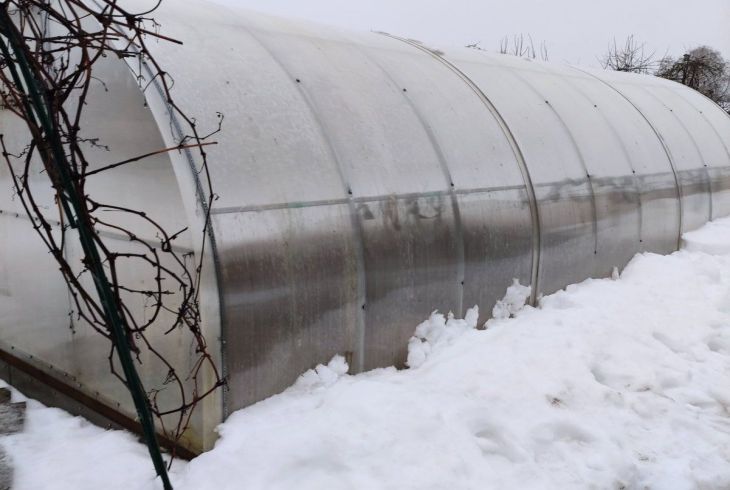 Закрывать или открывать теплицу на зиму: советы бывалых дачников теплица