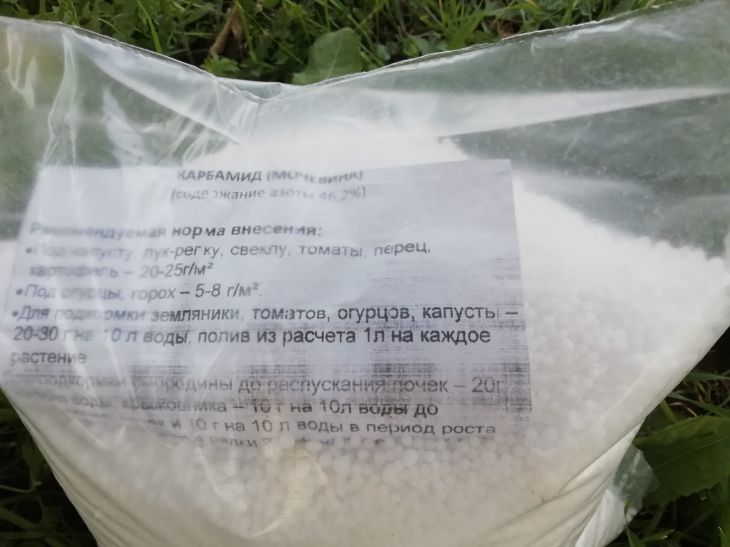 Насколько опасна обработка плодоносящих кустов химическими средствами осенью: почему это можно делать удобрение