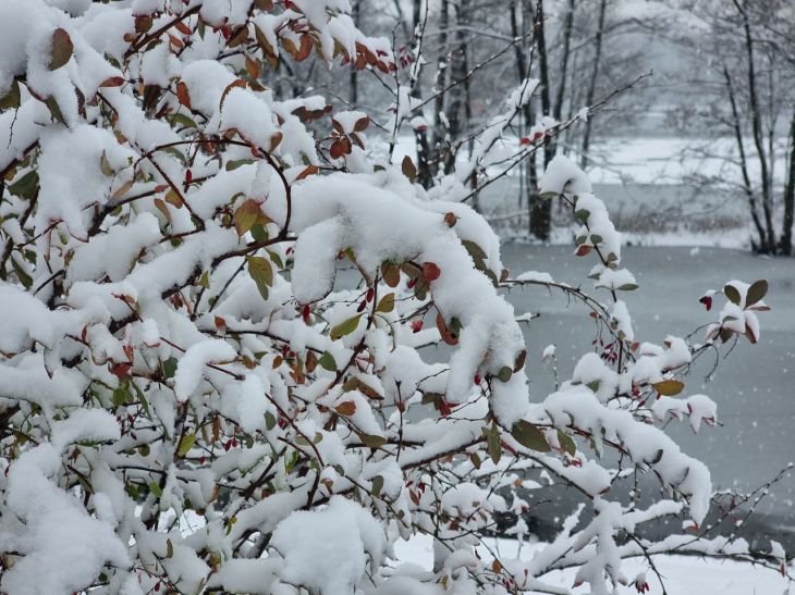 Что такое ветрозащитный экран и зачем он нужен: последний защитник вашего огорода зимой зима