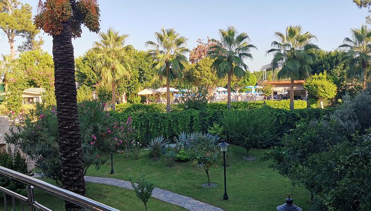 Названы страны, в которых минчане собираются праздновать Новый год отель