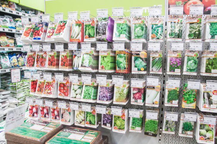 Трюк с семенами огурцов: дружные всходы и богатый урожай гарантированы Семена