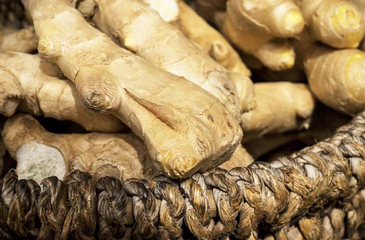Ginger: Secrets of Growing table