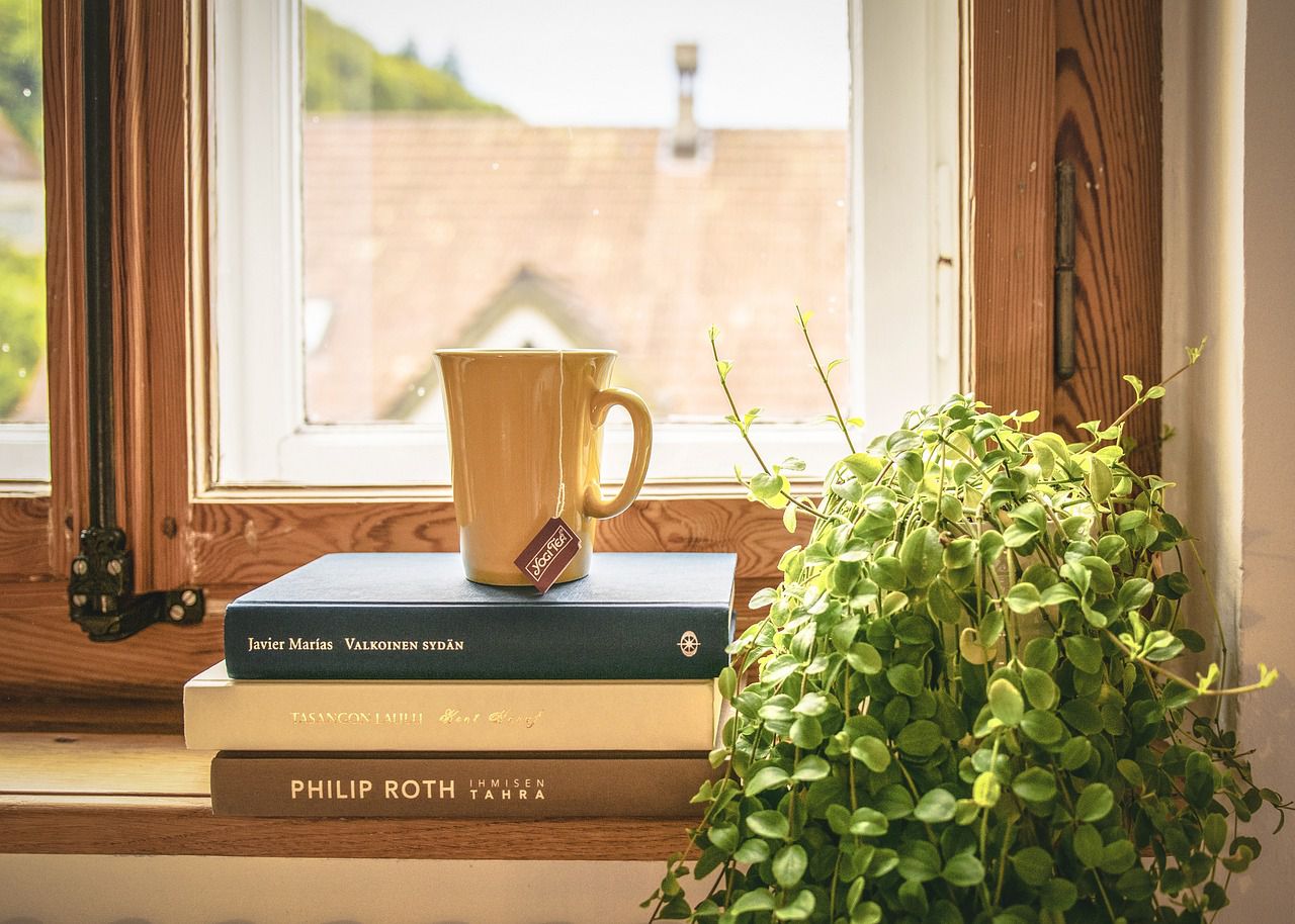 If houseplants die constantly: Gardening mistakes houseplant