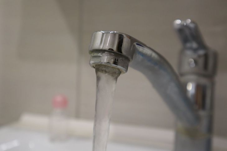 Что делать, если засохло комнатное растение и можно ли вернуть к жизни? Полезные советы Кран Вода