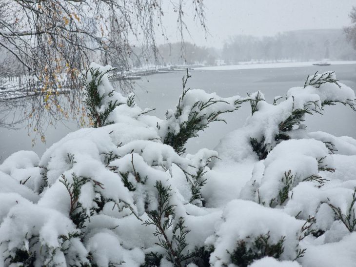 Готовимся к снегопадам? Дмитрий Рябов дал прогноз на неделю с 27 ноября по 3 декабря снег