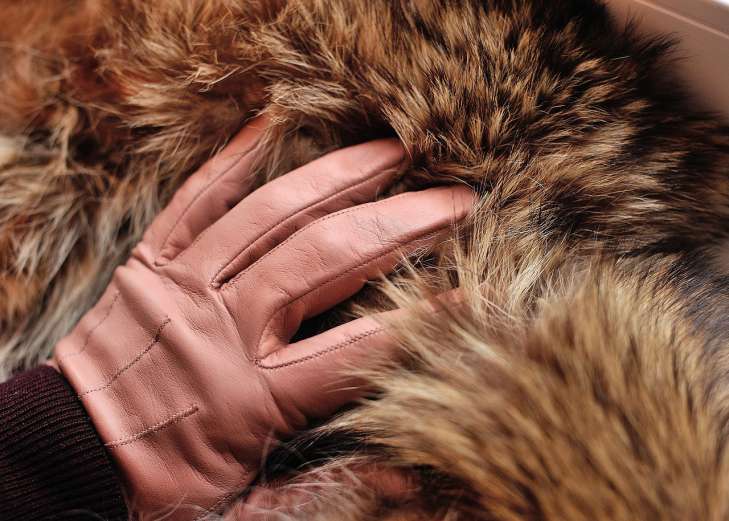 Useful Tips: How to Clean Fur Products hand