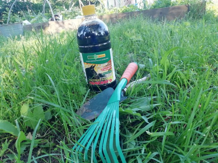 Чем отличаются осенние и весенние удобрения: у них разные цели удобрение