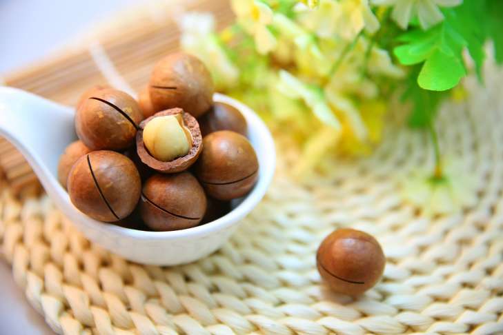 Macadamia: Health Benefits nuts