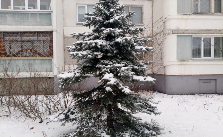 Как утеплить окна зимой: есть 4 надёжных способа окна