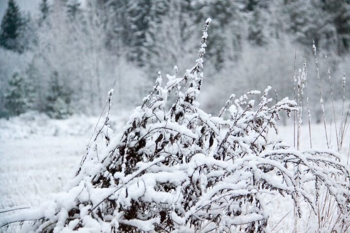 Белорусов предупредили о неблагоприятном гидрометеорологическом явлении на 2 января