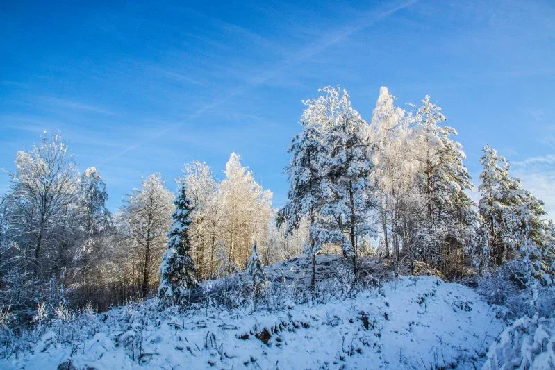 Белорусов предупредили о неблагоприятных погодных условиях 8 января: объявлен оранжевый уровень опасности