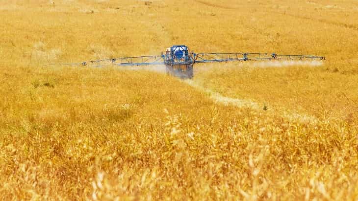 Gardening insights: Pesticides – are they actually good or bad? agriculture