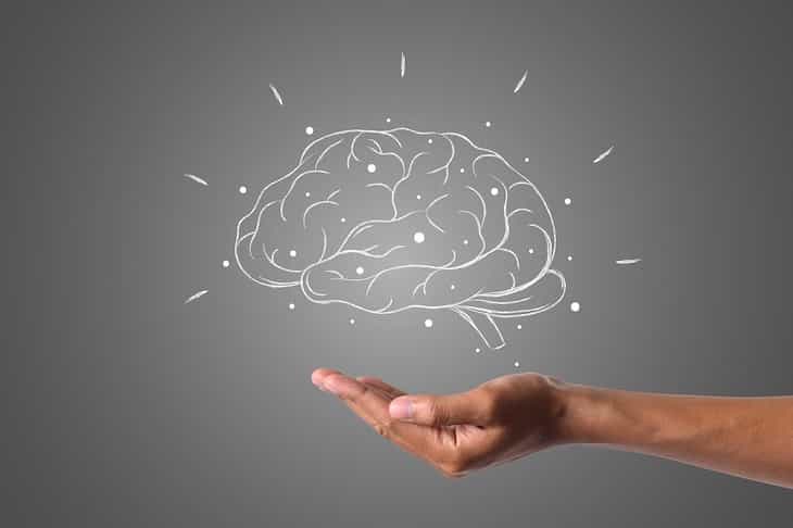 A new discovery: Bigger brain spaces – can be autism brain