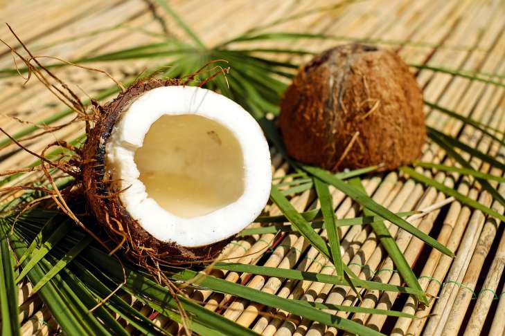 Coconut: How to Grow nuts