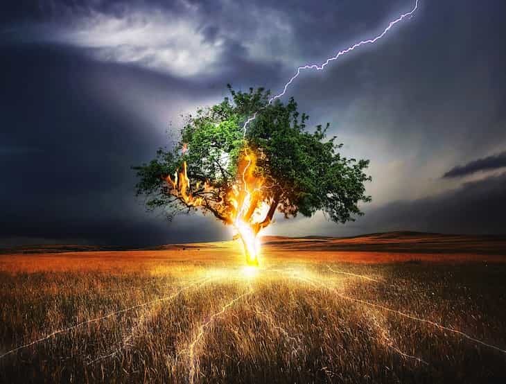 A lightning stroke: Gardening tips lightning
