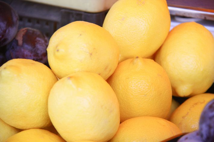 Можно ли вырастить лимон из косточки дома: отберите самые крупные семена:  новости, лимон, выращивание, квартира, выращивание лимона, как вырастить  лимон, сад и огород